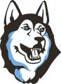 logo Eau Claire North